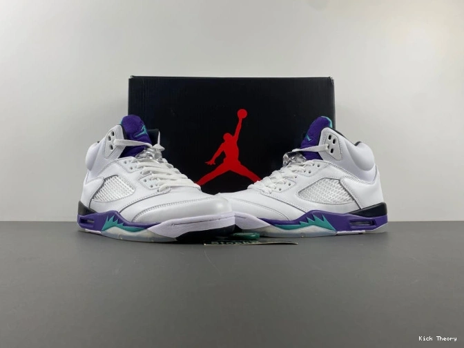 Kicktheory Air Retro Grape Jordan (2013) 5 136027-108 0822